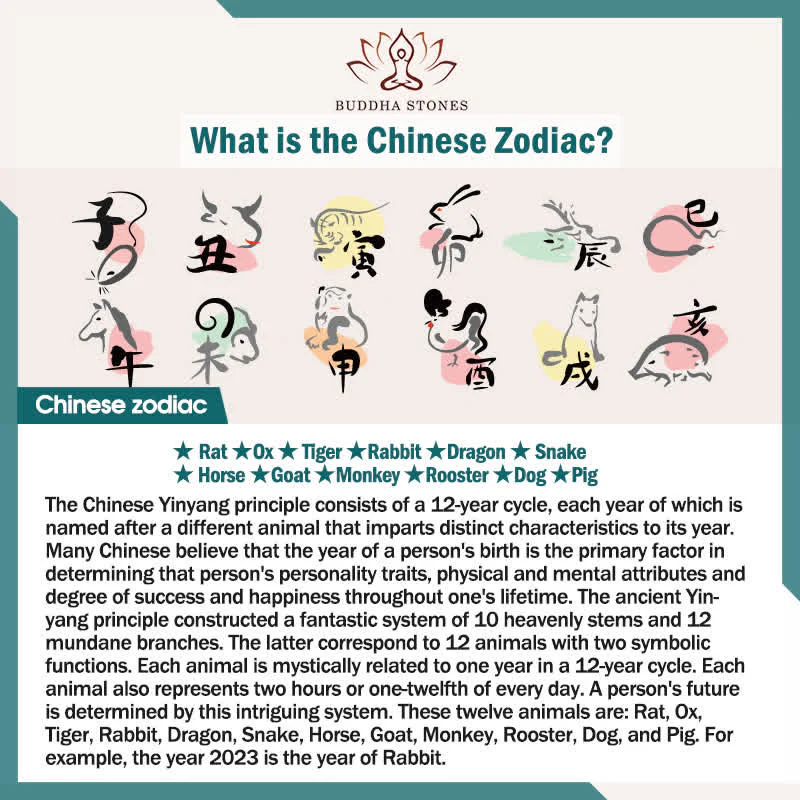 12 portachiavi zodiaco cinese benedizione ricchezza fortuna - Image 25